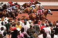 osmwiki:File:Racing at Ruidoso Downs.jpg