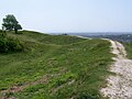 osmwiki:File:Ramparts, Cissbury Ring - geograph.org.uk - 1332728.jpg