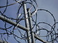 osmwiki:File:Razor Wire Bunch.JPG