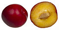 osmwiki:File:Red-Plums.jpg