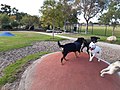 osmwiki:File:Rockingham Enclosed Dog Park, February 2020.jpg