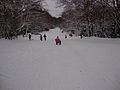 osmwiki:File:Rodelbahn im Volkspark Humboldthain.JPG