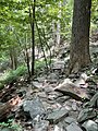 osmwiki:File:Rock Trail Surface at Patapsco Valley State Park.jpg