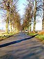 osmwiki:File:Roman Road, Over Dinsdale - geograph.org.uk - 114362.jpg