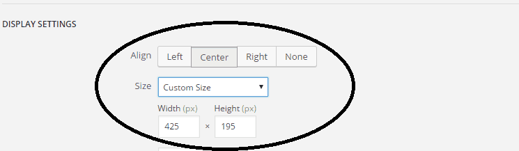 Display settings in WordPress blog images